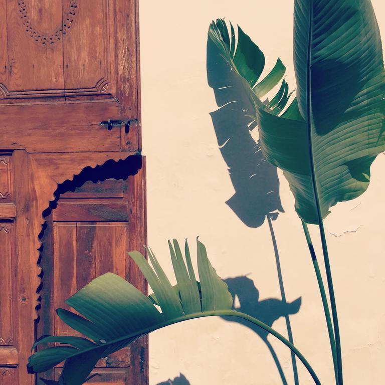Riad Up Marrakesh Ngoại thất bức ảnh