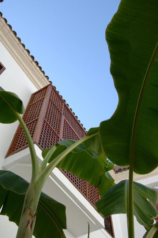 Riad Up Marrakesh Ngoại thất bức ảnh